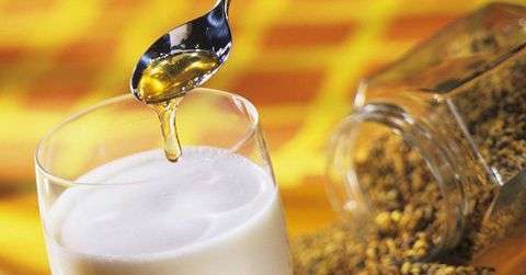 牛奶加蜂蜜可以减肥吗