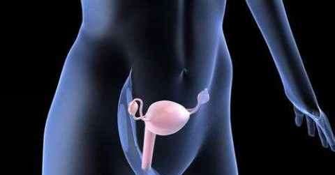卵巢功能下降怎么办