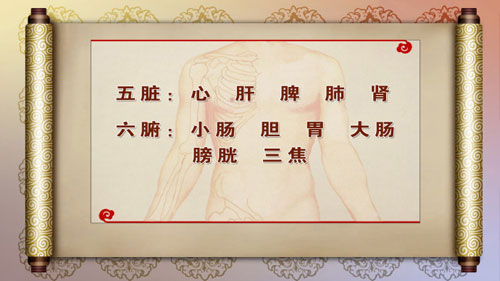 养生堂2013年8月13日视频,李世增,朱桂茹,名医夫妻的养生经2,调理脾胃
