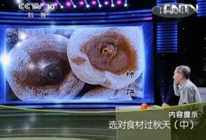 xdscgqt2 300x204 CCTV10健康之路视频20140905选对食材过秋天2 陈勇