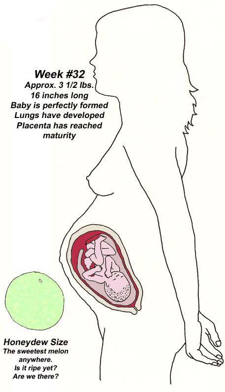 看看孕妇肚子不同时期像什么水果