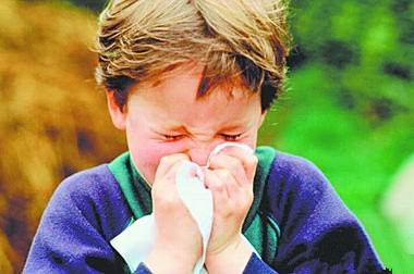 季节性过敏性鼻炎的发病原因