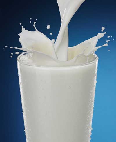 羊奶的营养价值 最接近人奶的高营养乳品