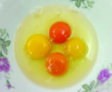 土鸡蛋和洋鸡蛋哪个好 土鸡蛋和洋鸡蛋营养PK
