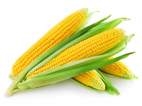 玉米能预防肺癌你知道吗