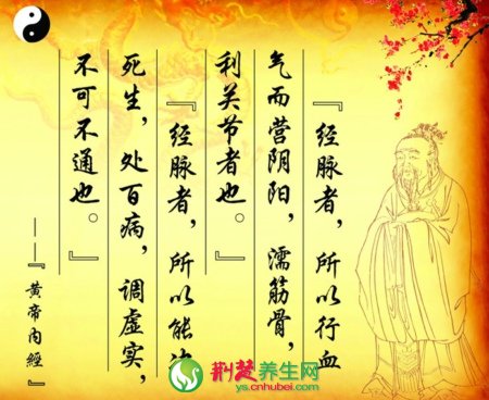 中国传统医学四大经典著作之《黄帝内经》