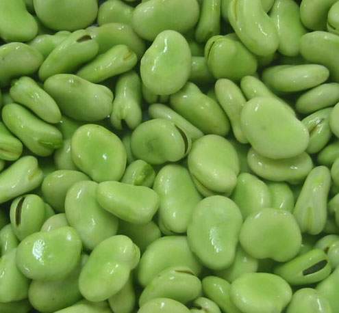 蚕豆的食疗方及养生功效