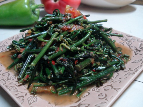 超级下饭菜：干辣椒豆豉炒蕨苔