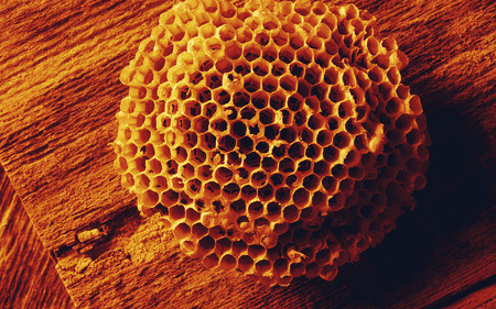 蜂蜜怎么喝护肝又补肾