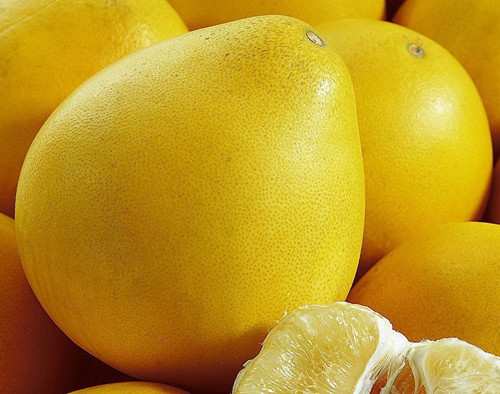 多吃柚子对肥胖者有健体养颜功能