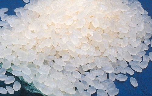什么是粳米  粳米的用法