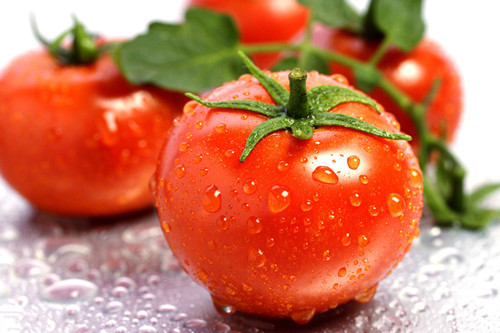 西红柿怎样做可使营养少流失