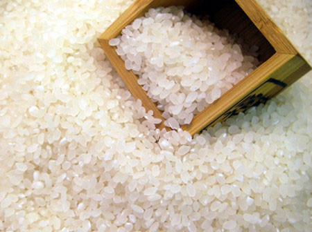 皮肤过敏能吃粳米吗