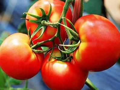 西红柿是不是 越红越健康越防癌了