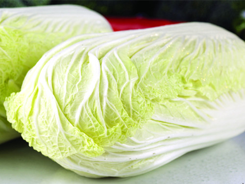 大白菜禁忌 胃炎可以吃大白菜吗