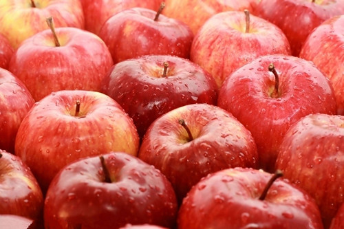 常吃苹果的朋友们可知其中的十大好处