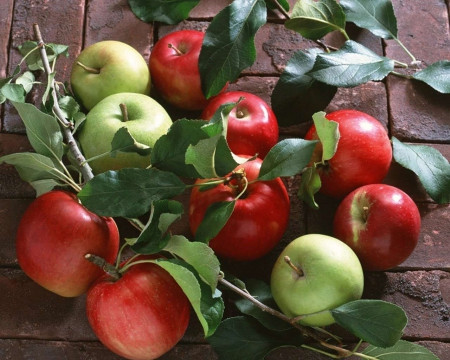 经常食用苹果有助于抗击癌症