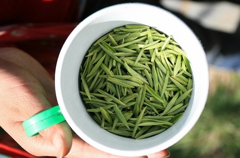 绿茶的保健作用 饮用绿茶好处多(4)