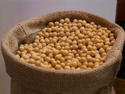 黄豆可以健康的减轻预防疾病
