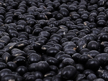 黑豆怎么选购 黑豆的存储方法