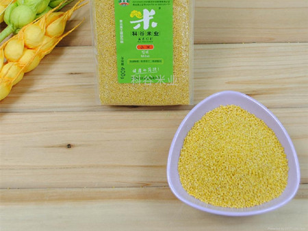 小米的营养分析 小米的药用功效