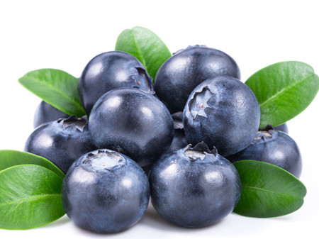 蓝莓的神奇功效 蓝莓有哪些好处(2)