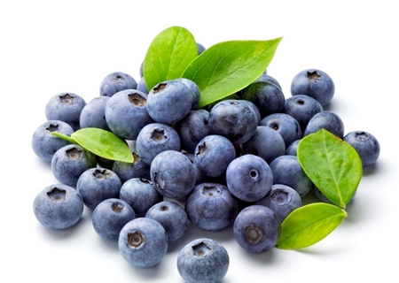 蓝莓的神奇功效 蓝莓有哪些好处
