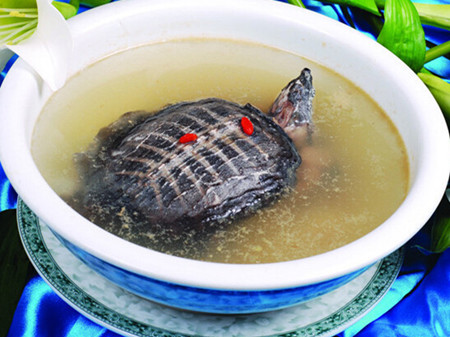 美容养颜 甲鱼汤的做法