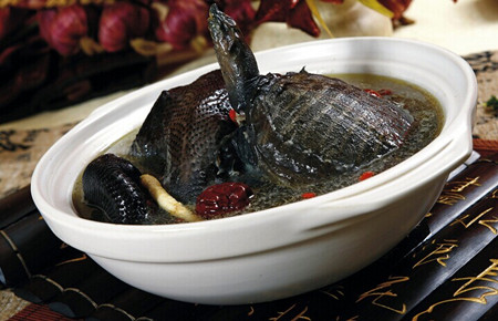 美容养颜 甲鱼汤的做法(2)