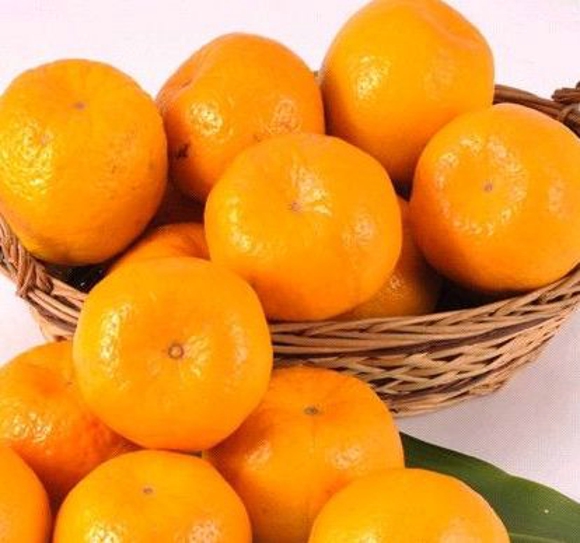 空腹能吃橘子吗 冬天橘子不宜和什么同食