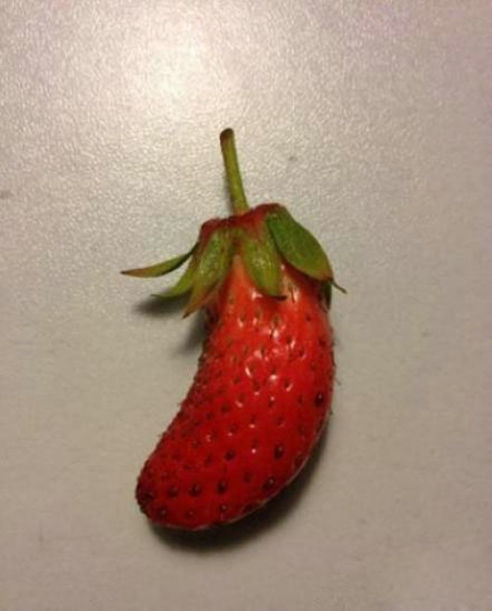 这草莓和茄子是什么关系 看看理想和现实的差距