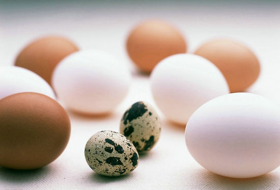 蛋黄的营养成分 鸡蛋吃法排行榜