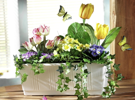 哪些植物适合室内养 室内养花有哪些风水禁忌