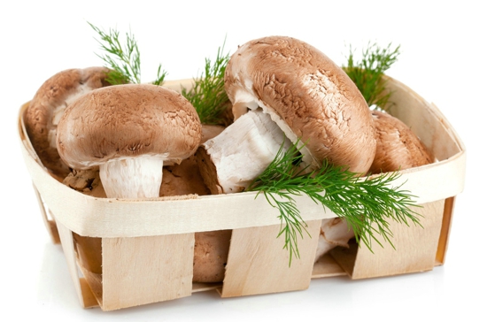 如何挑选香菇 香菇营养价值有哪些