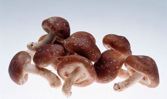 什么蘑菇不能吃 如何分辨蘑菇是否有毒