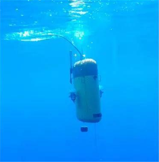 中国首次海底万米考察 惊现怪鱼