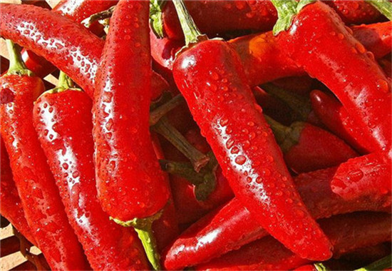 红辣椒的功效和作用 辣椒虽好不宜多吃
