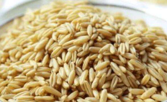 滑燕麦米怎么吃 滑燕麦米的食用方法