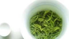 果蔬百科绿茶