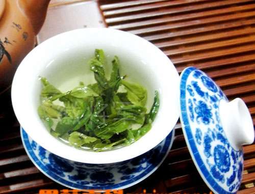 果蔬百科绿茶的冲泡方法