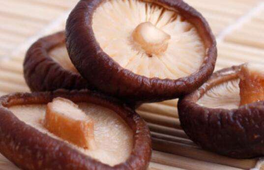 冬菇和香菇的区别 吃冬菇的好处