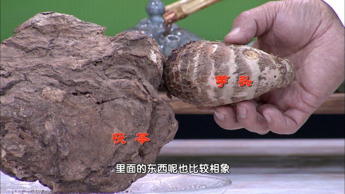 2016年2月21日播出《名老中医话方元—2》