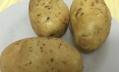 土豆的做法，红烧肉炖土豆