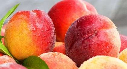 小暑吃什么水果 十种时令水果推荐