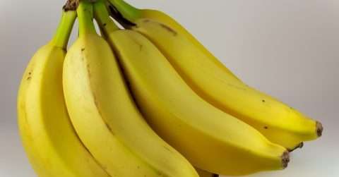 香蕉泡醋真的可以减肥吗