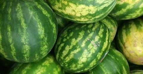 吃西瓜可以减肥吗