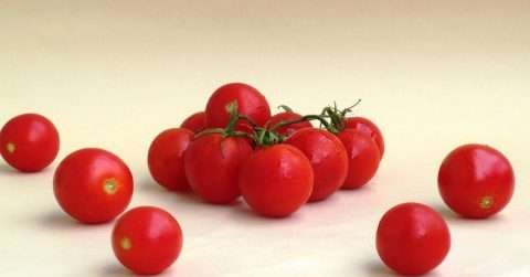 晚餐吃番茄可以减肥吗